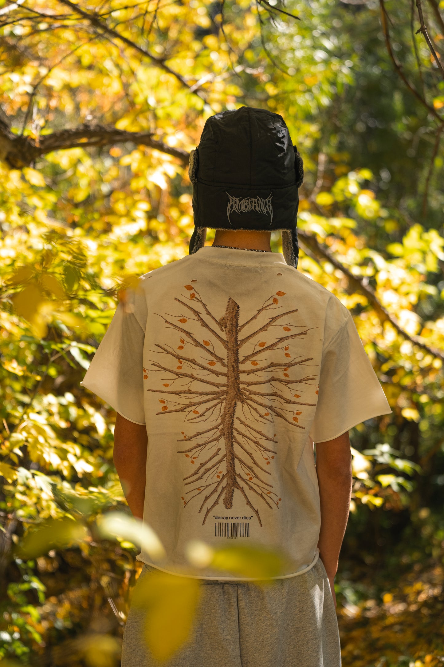 "DECAY NEVER DIES" Tee